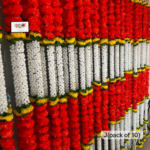 dual-tone-marigold-decor-strings-pack-of-10