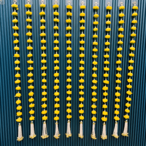 Hangings(Pack of 10 Strings)