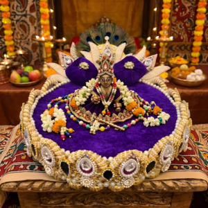 beautiful-purple-singhasan-pack-of-1