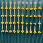 beautiful-yellow-hanging-pack-of-10-strings